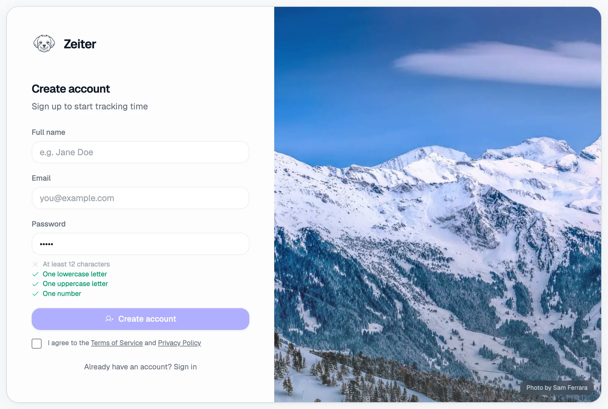 Password field with requirements checklist showing green checks